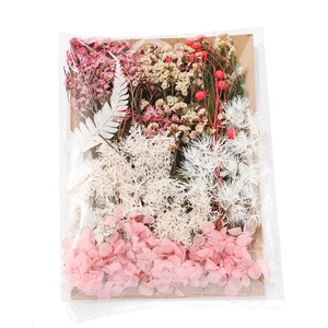 DIY dried flower set with pink hydrangea and red berries for mother's day craft