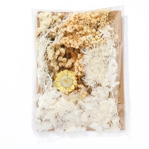 Detail of cream white dried flower DIY kit with hydrangea and daisies in clear bag