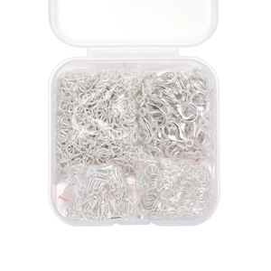 Kit di accessori per gioielli fai-da-te argento con chiusure a moschettone in scatola trasparente