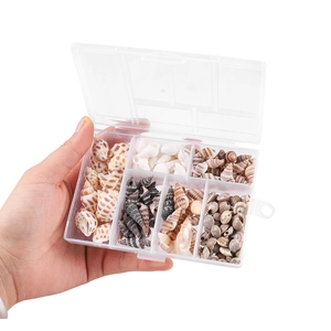 Natürliche Muscheln und Mini-Schnecken im 6-Fach Organizer Set für Bastelarbeiten DIY