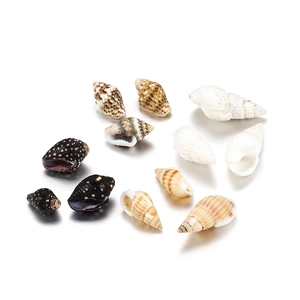 Conchas Marinas Mezcladas Naturales Para Decoración De Acuarios Paisajismo De Tanques De Peces Materiales De Artesanía DIY