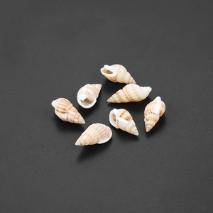 Primer plano de conchas naturales rayadas para manualidades sobre fondo negro