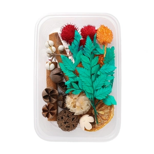 Detail showing natural dried flowers, pine cones and cinnamon sticks in transparent box