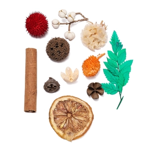 Macro detail of natural DIY dried flowers with cinnamon sticks, pine cones and lemon slices