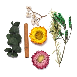 Flat lay of dried strawflowers cinnamon and eucalyptus leaves for DIY decor