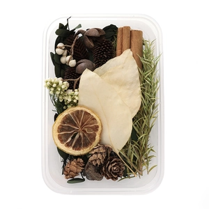 Macro view of natural DIY material kit with dried pine cones and cinnamon for decoration