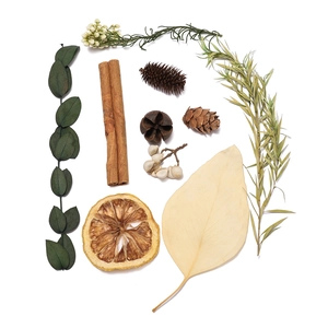 Close-up of DIY kit with dried eucalyptus, cinnamon sticks, lemon slices and pine cones