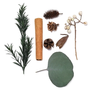 Flat lay of natural dried pine cones, cinnamon sticks and eucalyptus leaves for DIY decor