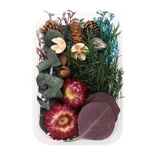 Detail view of DIY dried flower kit with pine cones and cinnamon in a clear box