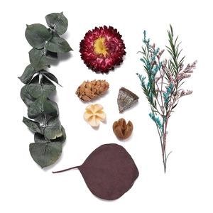 Detailed flat lay of dried eucalyptus, pine cones, and strawflowers for DIY craft projects