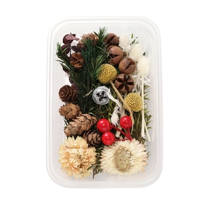 DIY kit with natural pine cones, dried flowers and cinnamon in a transparent storage box