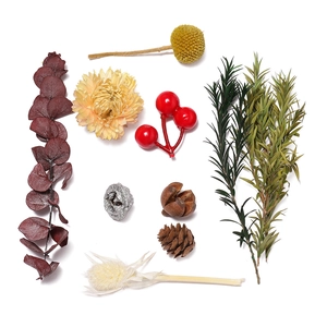 Detailed overhead view of diverse DIY dried flower set with pine cones and eucalyptus