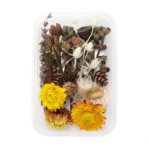 Close-up of DIY dried flower kit with pine cones and cinnamon in a clear box