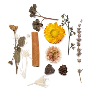 Macro shot of natural dried flowers, pine cones and cinnamon sticks for DIY crafts