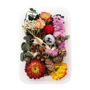 Close-up of DIY natural dried flowers set with pine cones and roses in a transparent box