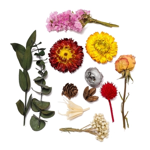 Macro detail of assorted dried flowers, eucalyptus leaves and pine cones for DIY crafts