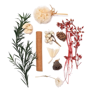 Flat lay of natural dried plants including pine cones, cinnamon sticks, and hydrangea flowers