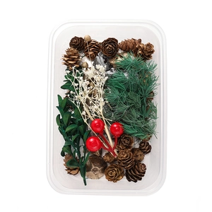 Detailed top view of DIY dried flower set with pine cones and berries in a clear box