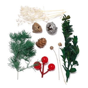 Detail view of natural pine cones and cinnamon sticks for DIY botanical decorations