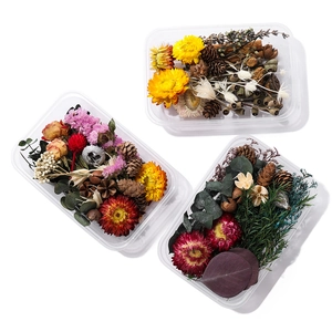 Detailed top view of DIY dried flower material kits with natural pine cones and eucalyptus