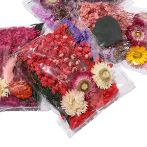 Gros plan de fleurs séchées et plantes préservées en sachets pour loisirs créatifs