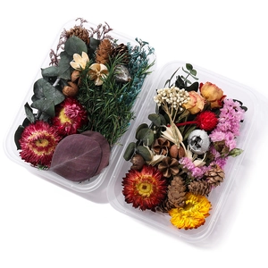 DIY dried flower set with natural pine cones and cinnamon for aromatherapy decoration