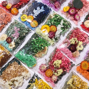 Fleurs Séchées Naturelles Matériau pour Bricolage Résine Bijoux Bougies Décoration Maison Accessoires Botaniques Plantes Séchées Teintes