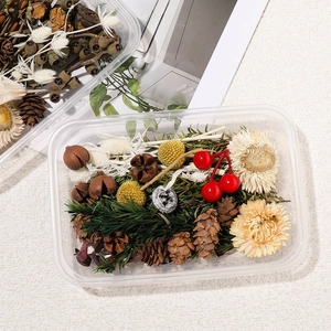 DIY dried flower kit with natural pine cones and berries in a clear rectangular storage box