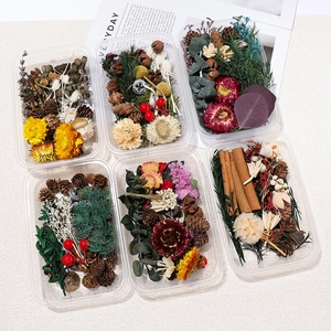 DIY dried flower set with pine cones and cinnamon sticks in transparent boxes