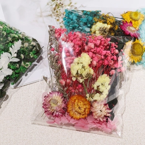 Assortiment de fleurs séchées DIY avec gypsophile et marguerites pour loisirs créatifs