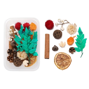 DIY dried botanical set with cinnamon sticks, citrus slices and colorful flowers