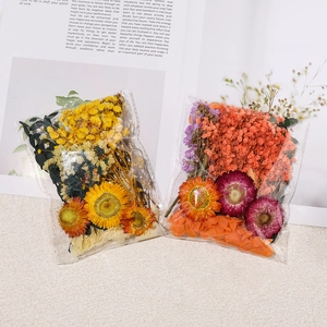 Kits de fleurs séchées assorties pour bricolage en sachets transparents pour artisanat et déco