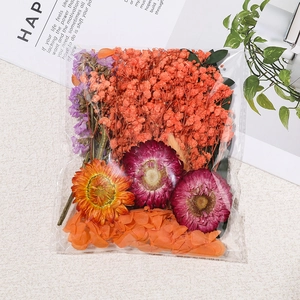 Détail de fleurs séchées colorées assorties dans un emballage de matériel de bricolage