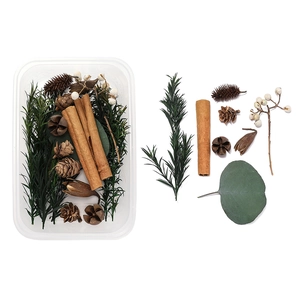 DIY kit with natural pine cones, cinnamon sticks, and dried plants in a clear storage box