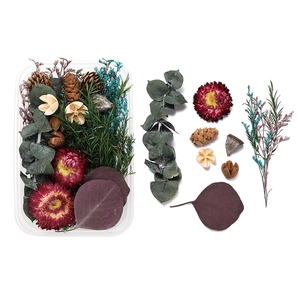 Flat lay of natural dried flowers, pine cones and eucalyptus for DIY aromatherapy crafts