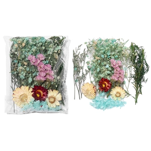Détail du kit DIY de fleurs séchées colorées dans un emballage plastique transparent