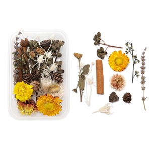 Detailed flat lay of dried flowers, pine cones, and cinnamon sticks for DIY decor