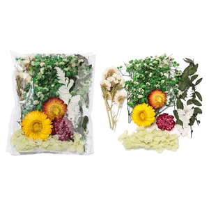 Gros plan de fleurs séchées DIY avec marguerites, hortensias et feuillage préservé