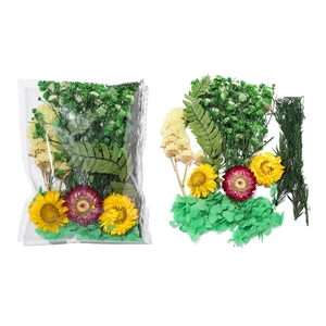 Détails du kit DIY fleurs séchées avec tournesols jaunes et marguerites violettes