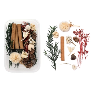 DIY dried botanical kit with cinnamon sticks, pine cones, and berries in a clear box