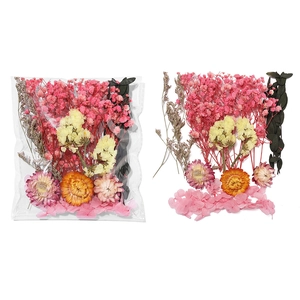 Kit de fleurs séchées DIY avec gypsophile et feuilles d'eucalyptus pour artisanat