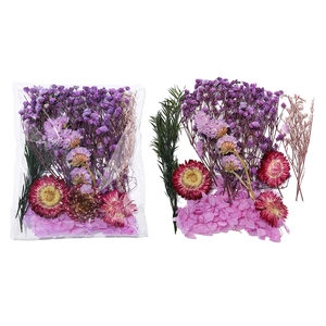 Détail du kit de fleurs séchées DIY avec des myosotis violets et des fleurs de paille rouges