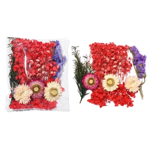 Kit détaillé de fleurs séchées en sachet transparent avec divers pétales multicolores