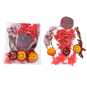 Gros plan d'un kit de fleurs séchées DIY avec gypsophile rouge, marguerites et eucalyptus