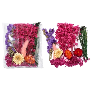 Pack de fleurs séchées DIY avec gypsophile et queue de lapin sous emballage