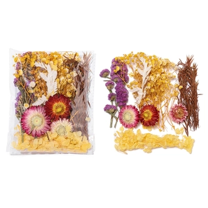 Détails de fleurs séchées colorées incluant marguerites et hortensias pour loisirs créatifs