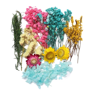 Macro à plat de fleurs séchées colorées incluant tournesols et hortensias pour loisirs créatifs