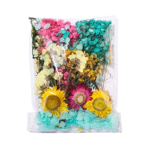 Détail macro de fleurs séchées mixtes avec tournesols et marguerites sous emballage