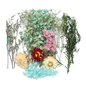 Vue à plat du kit fleurs séchées DIY avec gypsophile et marguerites sur fond blanc