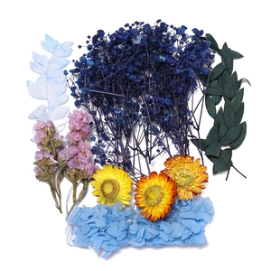 Détail de fleurs séchées avec hortensias, marguerites et feuilles d'eucalyptus